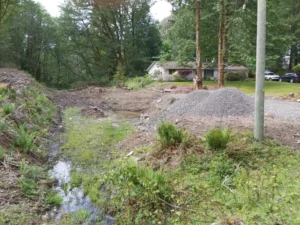 Environmental Project Management for a riparian zone in Mill Bay.