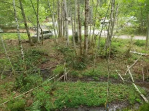 Riparian Contractor installing erosion control measures on a waterfront property.