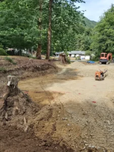Riparian Project Management results showing restored native habitat.